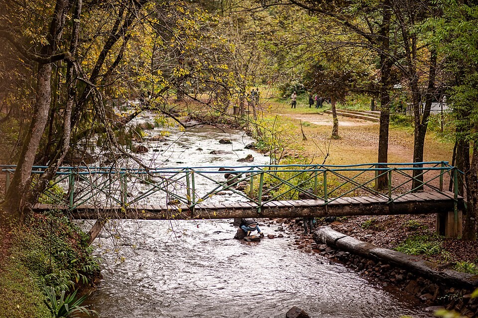 Mandraka Park