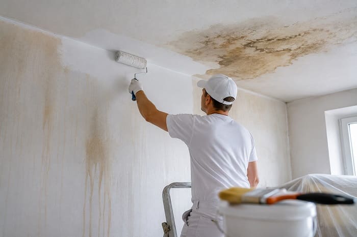 Peintre repeignant un mur après un dégât des eaux